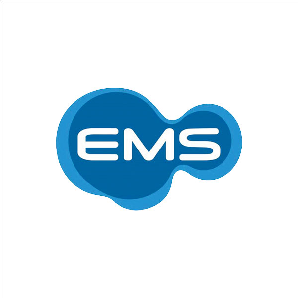 logo ems - uma das marcas comercializadas pela Alfalagos